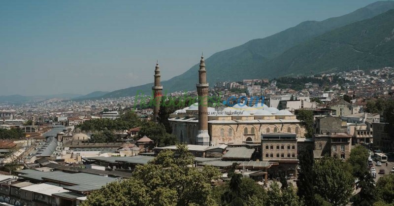 Marmara Bölgesi Tarımı: Verimli Toprakların ve Modern Uygulamaların Buluşma Noktası